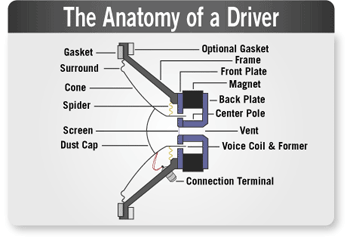 How Speakers Work - Aperion Audio