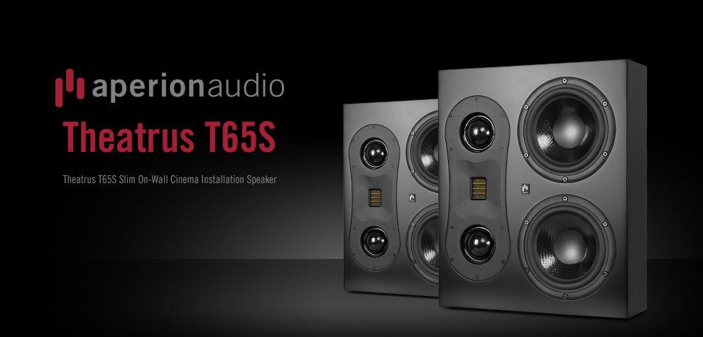 Aperionaudio Theatrus T65S Slim Cinema/Studio AMT Ribbon Tweeter Monitor Speaker - Aperion Audio