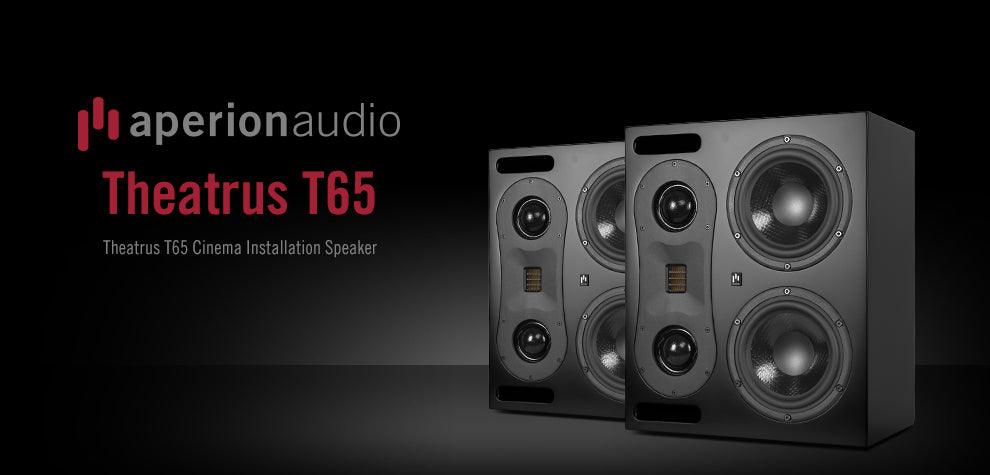 Aperionaudio Theatrus T65 Cinema/Studio AMT Ribbon Tweeter Monitor Speaker - Aperion Audio