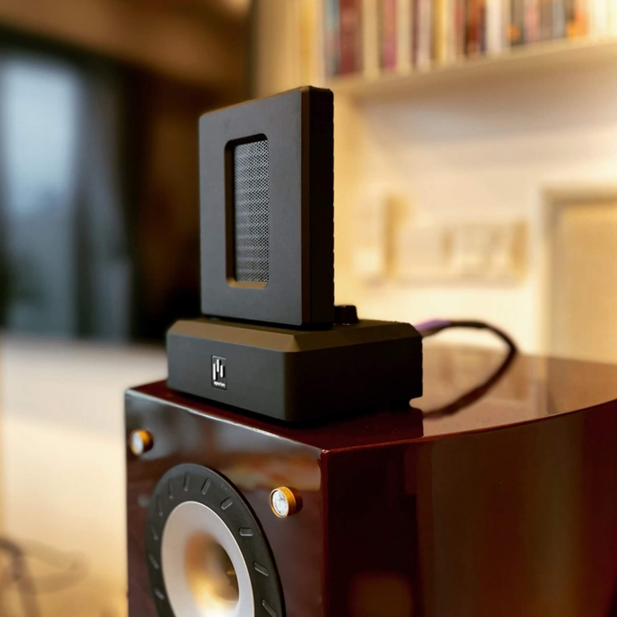 Aperion Audio DST Dual Firing AMT Super Tweeter Speaker