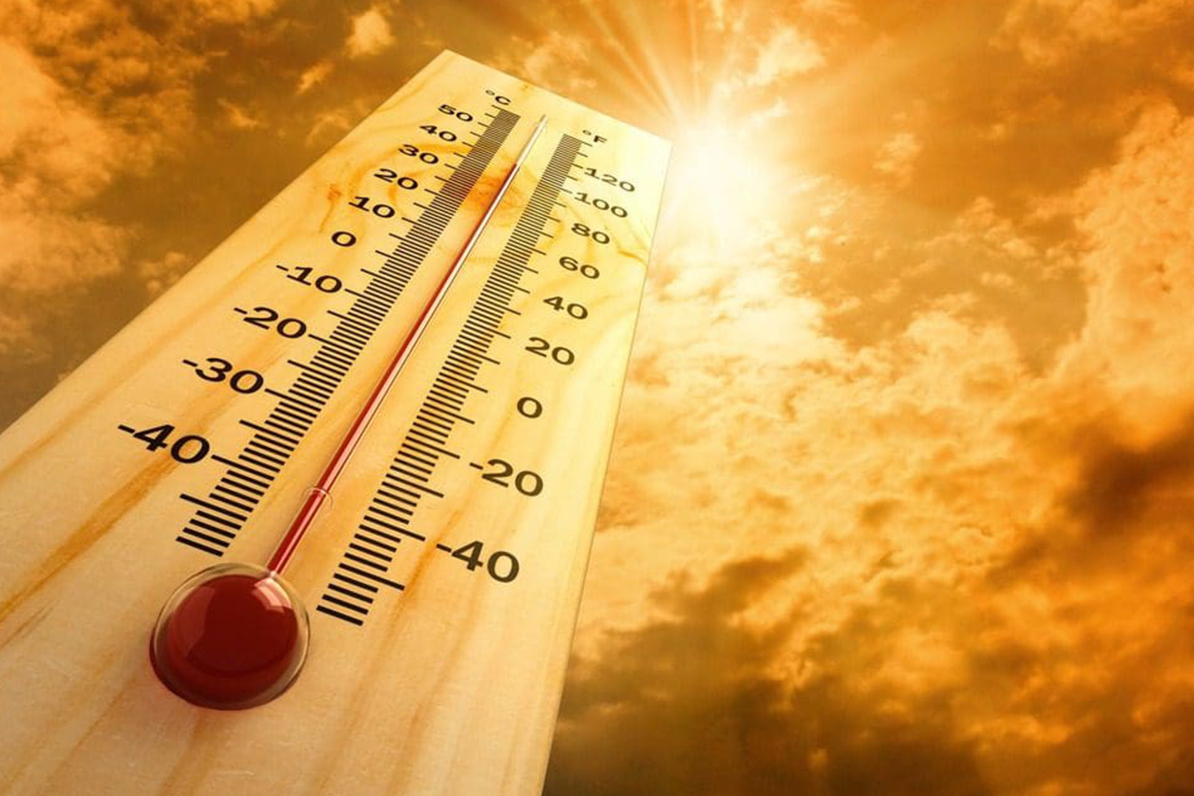High-temperature_resistant_and_oxidation-resistant