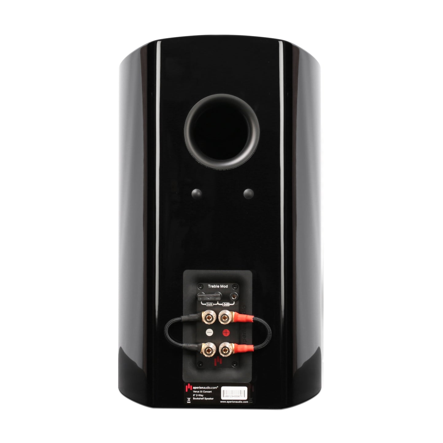 Aperion Audio Verus V8B Gloss Black Back Side