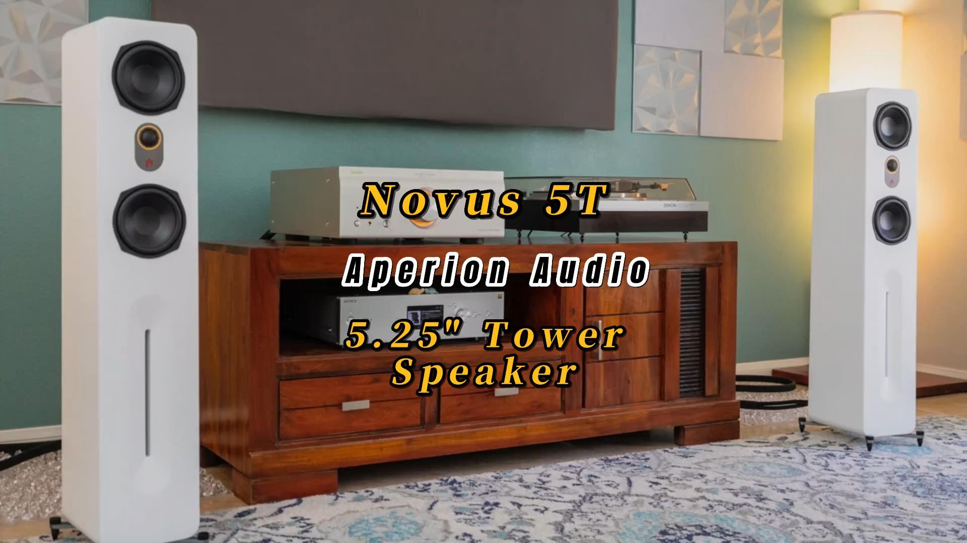 Aperionaudio Novus 5T Tower Floorstanding Speaker | Feels Like Home | Customer Photo Gallery 221225 - Aperion Audio