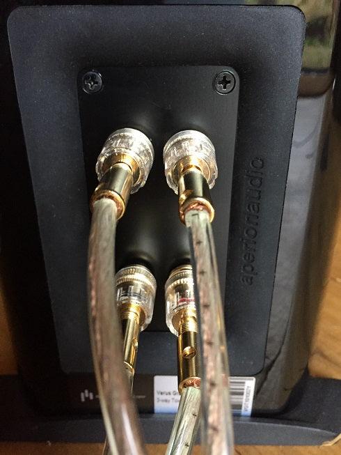 Bi-Amp Benefits and Configurations