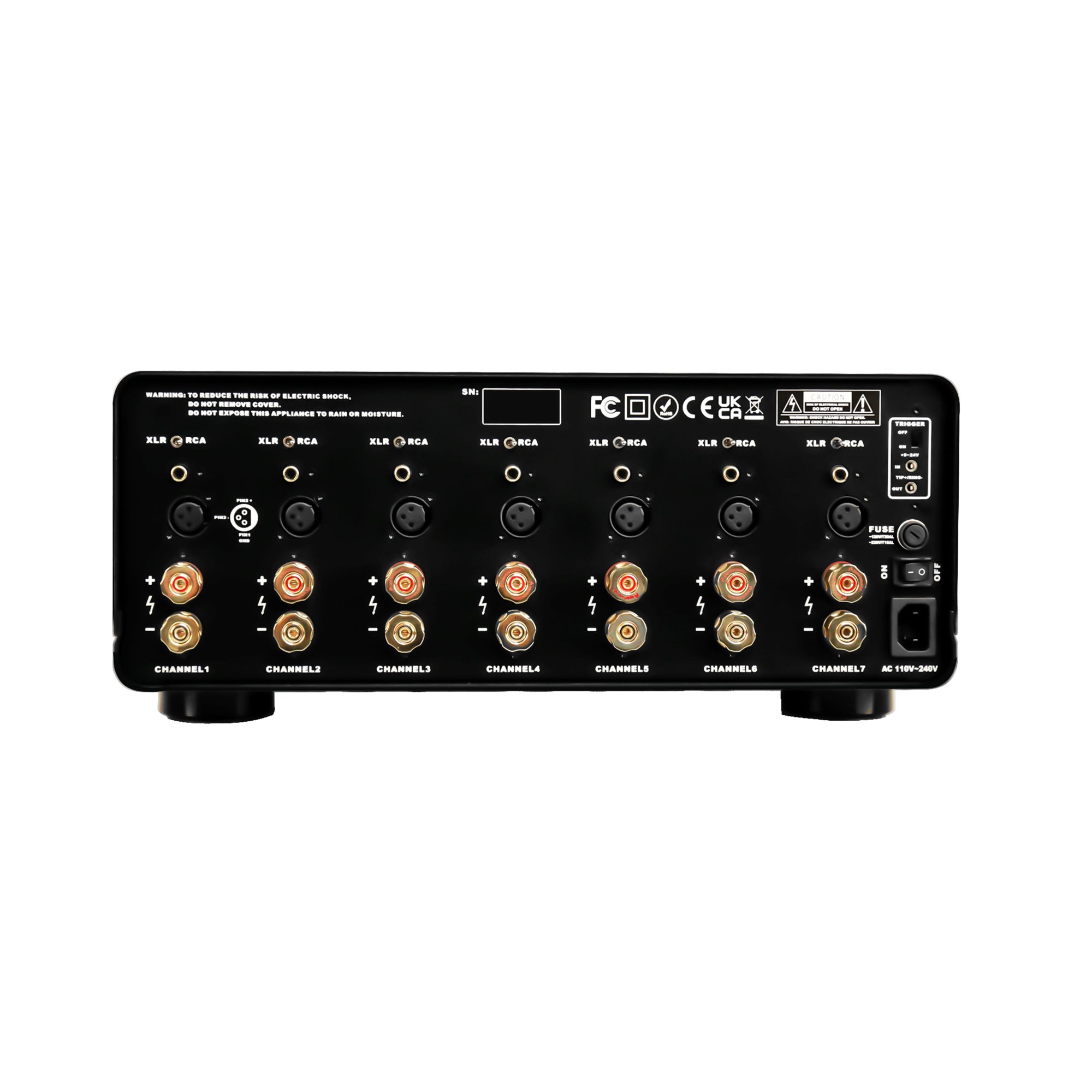 Black audio amplifier with large binding posts, switches and labels on a white background
