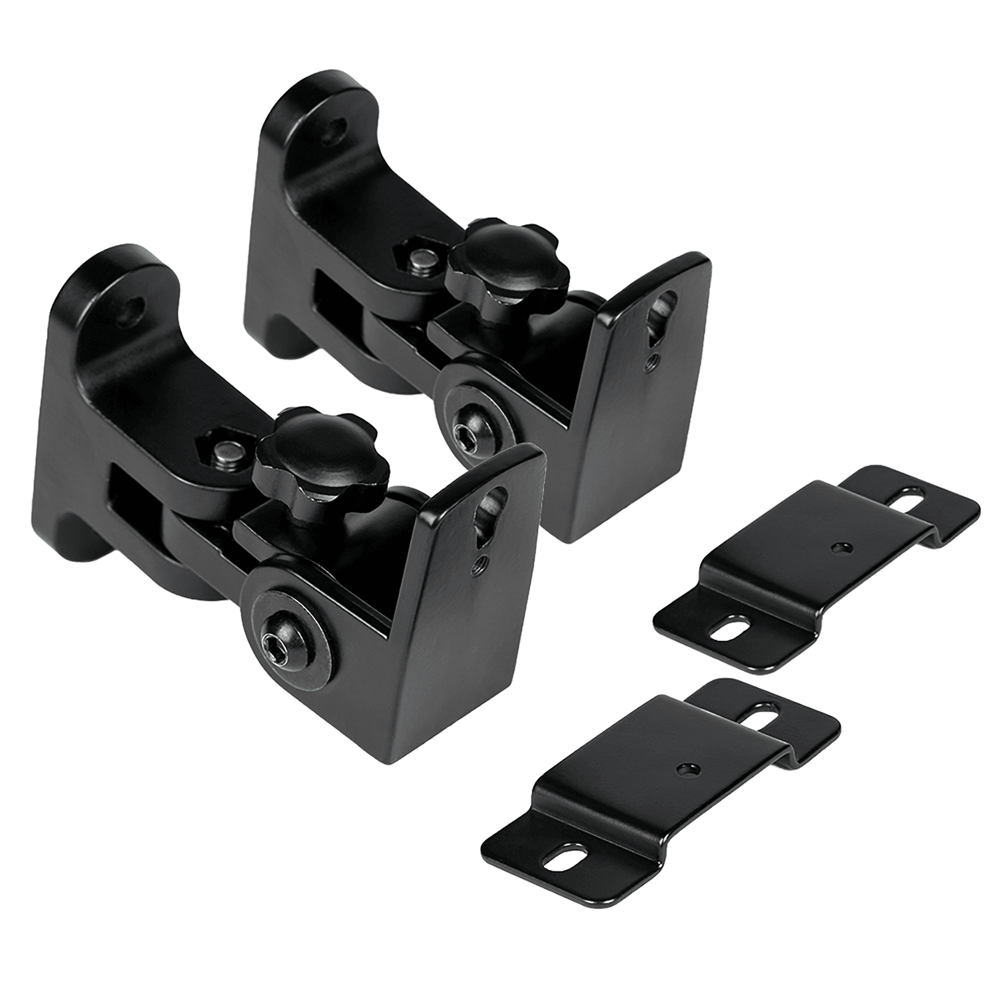 One pair of Aperion adjustable wall mounting brackets in black finish.  Separate speaker plates attach to the mount and lock together with a screw. 
