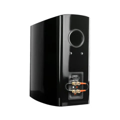Aperionaudio-Verus-III-Concert-V8B-8