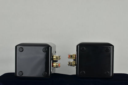 PST Planar-Magnetic Ribbon Super Tweeter Speaker Pair Gloss Black A STOCK 951/952