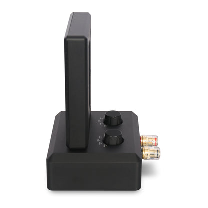 Aperion Audio DST Dual Firing AMT Super Tweeter Speaker 