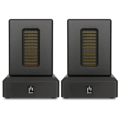 Aperion Audio DST Dual Firing AMT Super Tweeter Speaker Front View