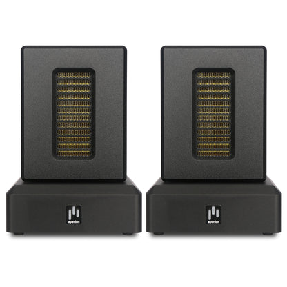 Aperion Audio DST Dual Firing AMT Super Tweeter Speaker Front View