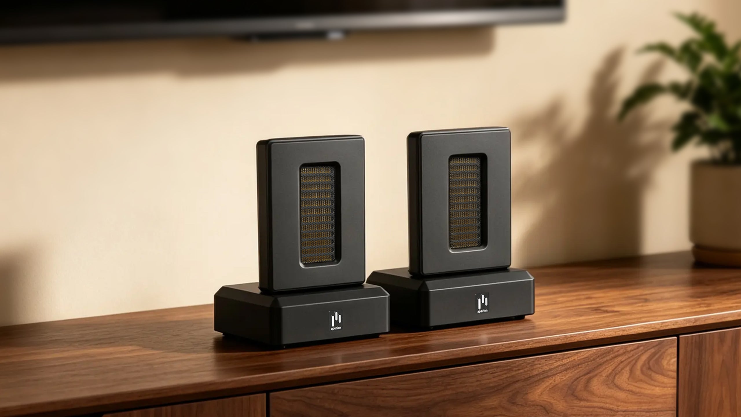 Aperion Audio DST Dual Firing AMT Super Tweeter Speaker