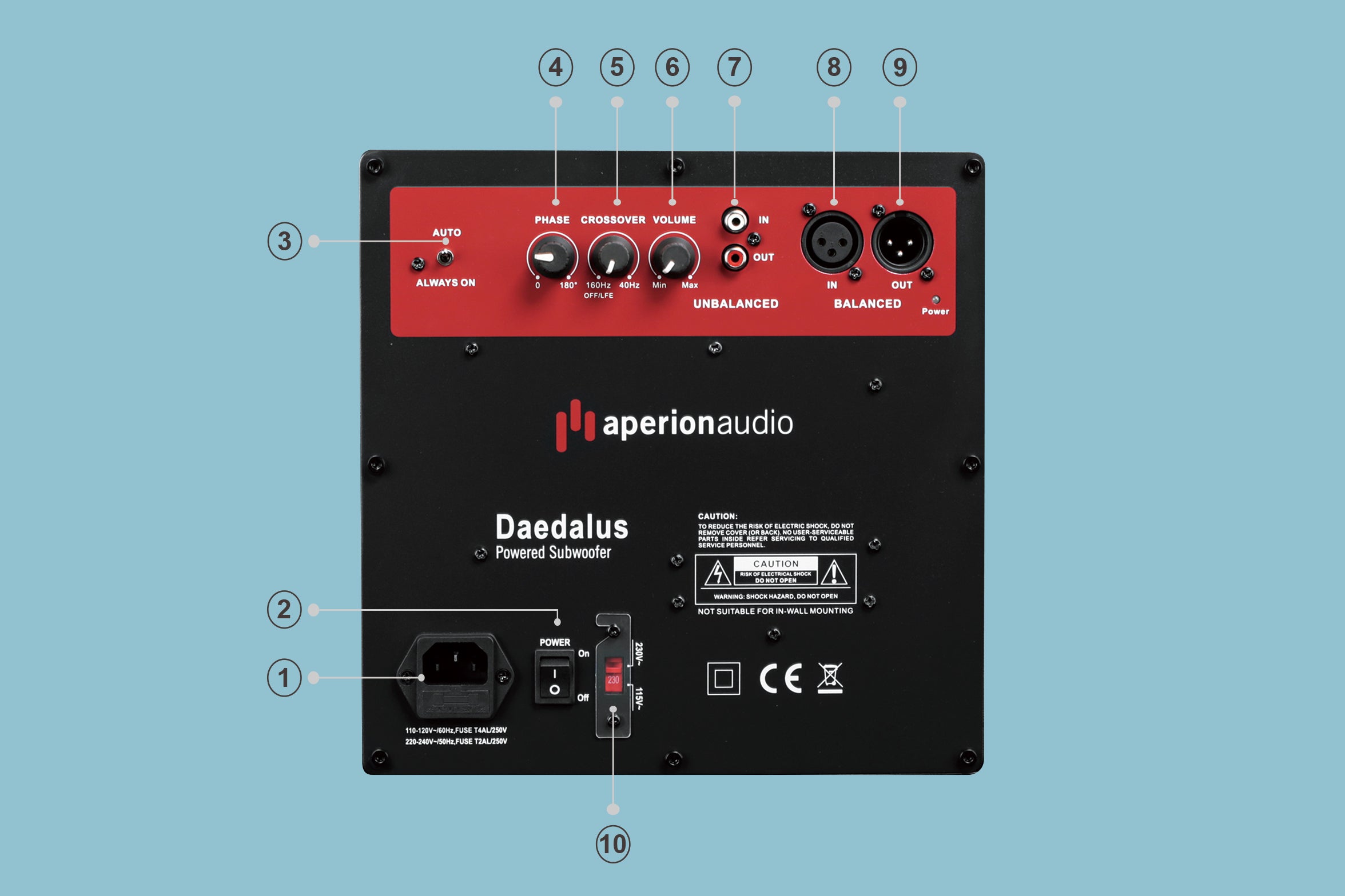 Daedalus_Amplifier_Back_Panel