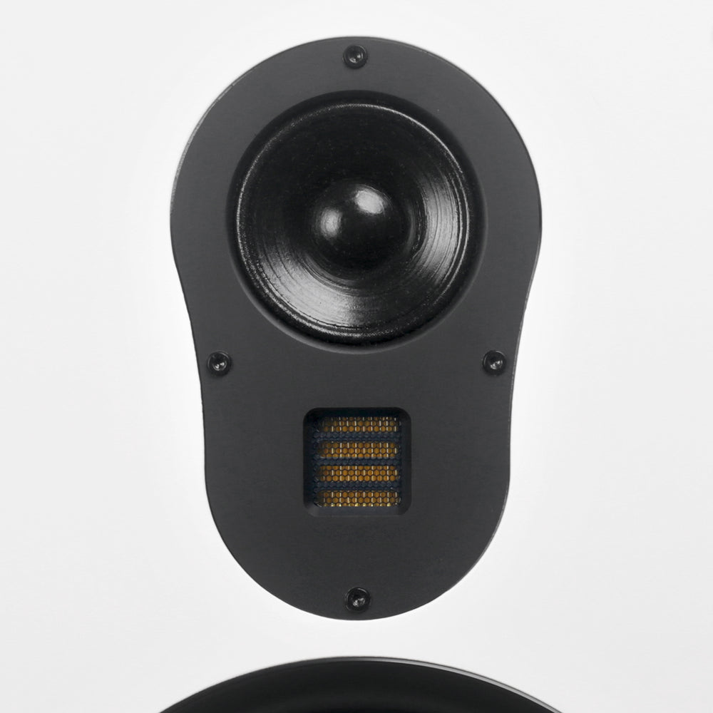 Aperion Fons F83S &mdash; AMT твитер
