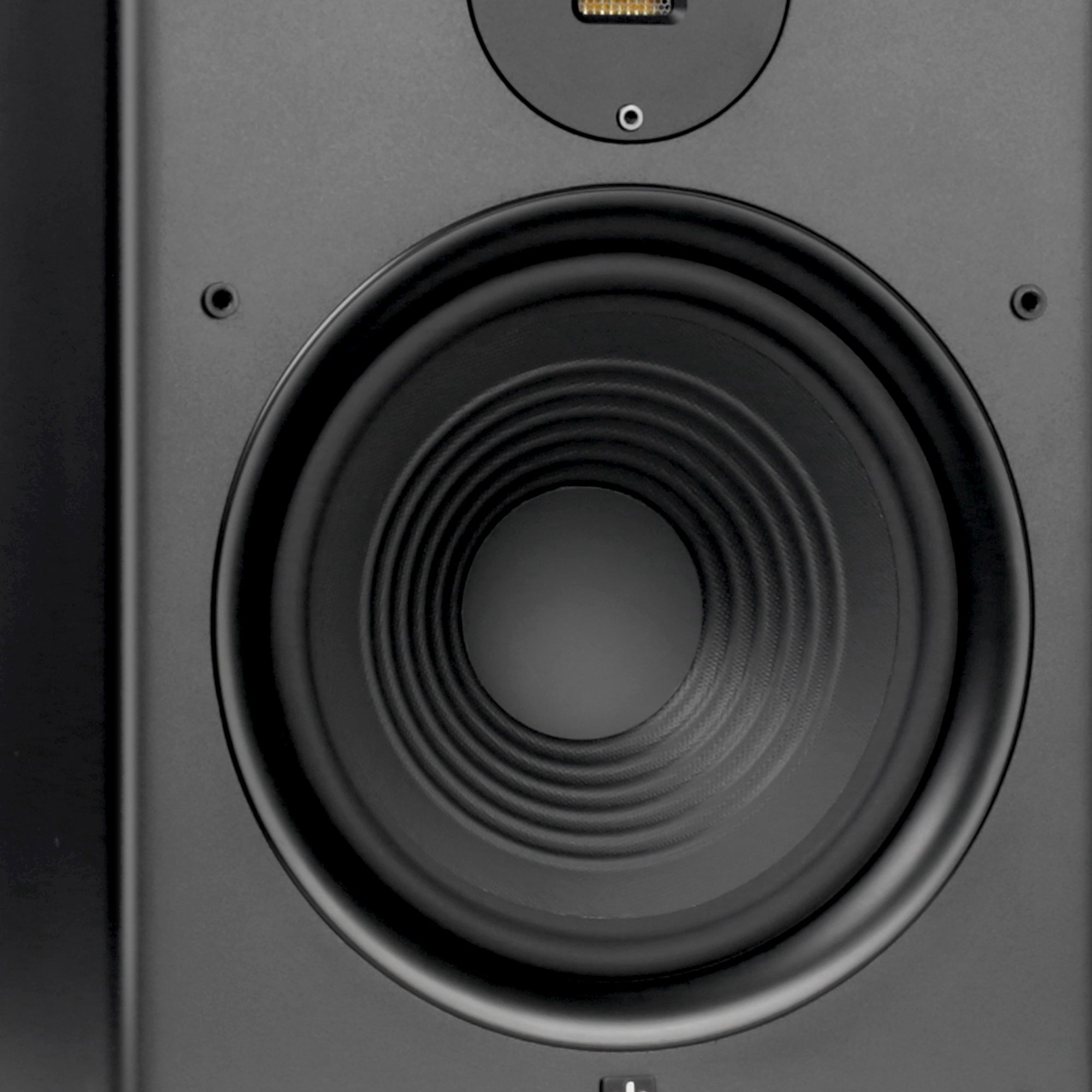 Aperion Fons F83S Woofer