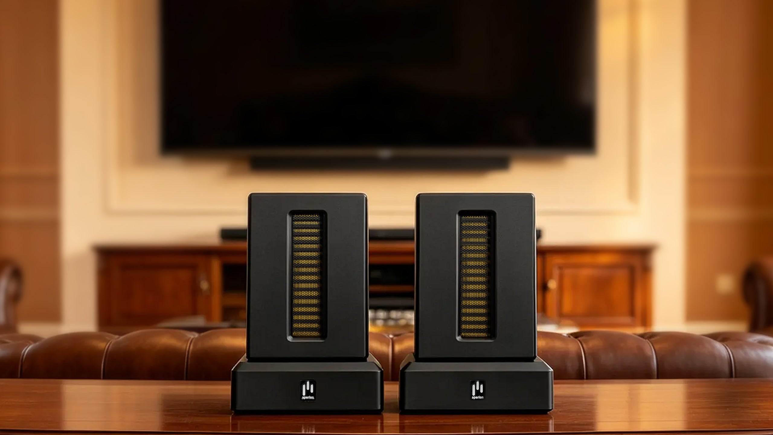 Aperion Audio HST High Sensitivity Dual Firing AMT Super Tweeter Speaker