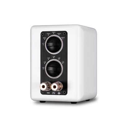 Aperion Audio PST Planar Ribbon Super Tweeter Speaker Pure White Rear Right