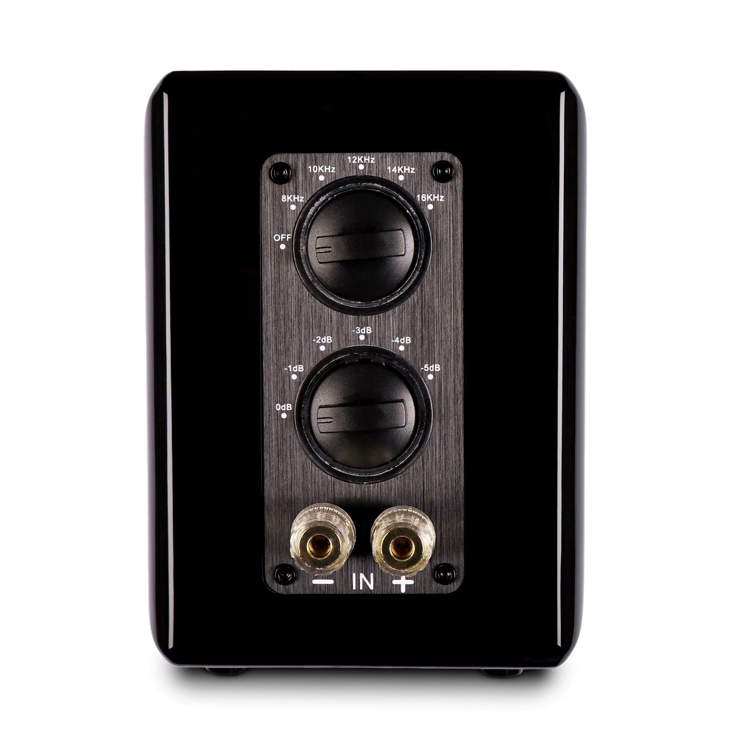 Aperion Audio RST True Aluminum Ribbon Super Tweeter Speaker Gloss Black Back Side View