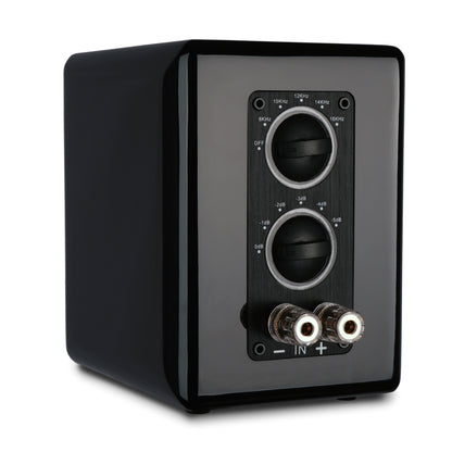 Aperion Audio RST True Aluminum Ribbon Super Tweeter Speaker Gloss Black Rear Left