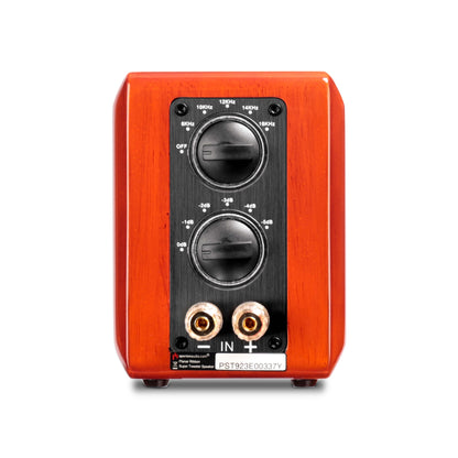 Aperion Audio RST True Aluminum Ribbon Super Tweeter Speaker Gloss Cherry Back Side View