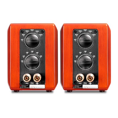 Aperion Audio RST True Aluminum Ribbon Super Tweeter Speaker Gloss Cherry Back Side