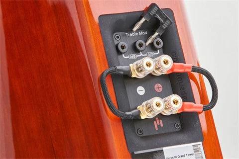 Verus V6T &mdash; TrebleMod switch