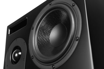 Aperion Theature Cinema Studio Monitor Speaker Curv Cone Woofer