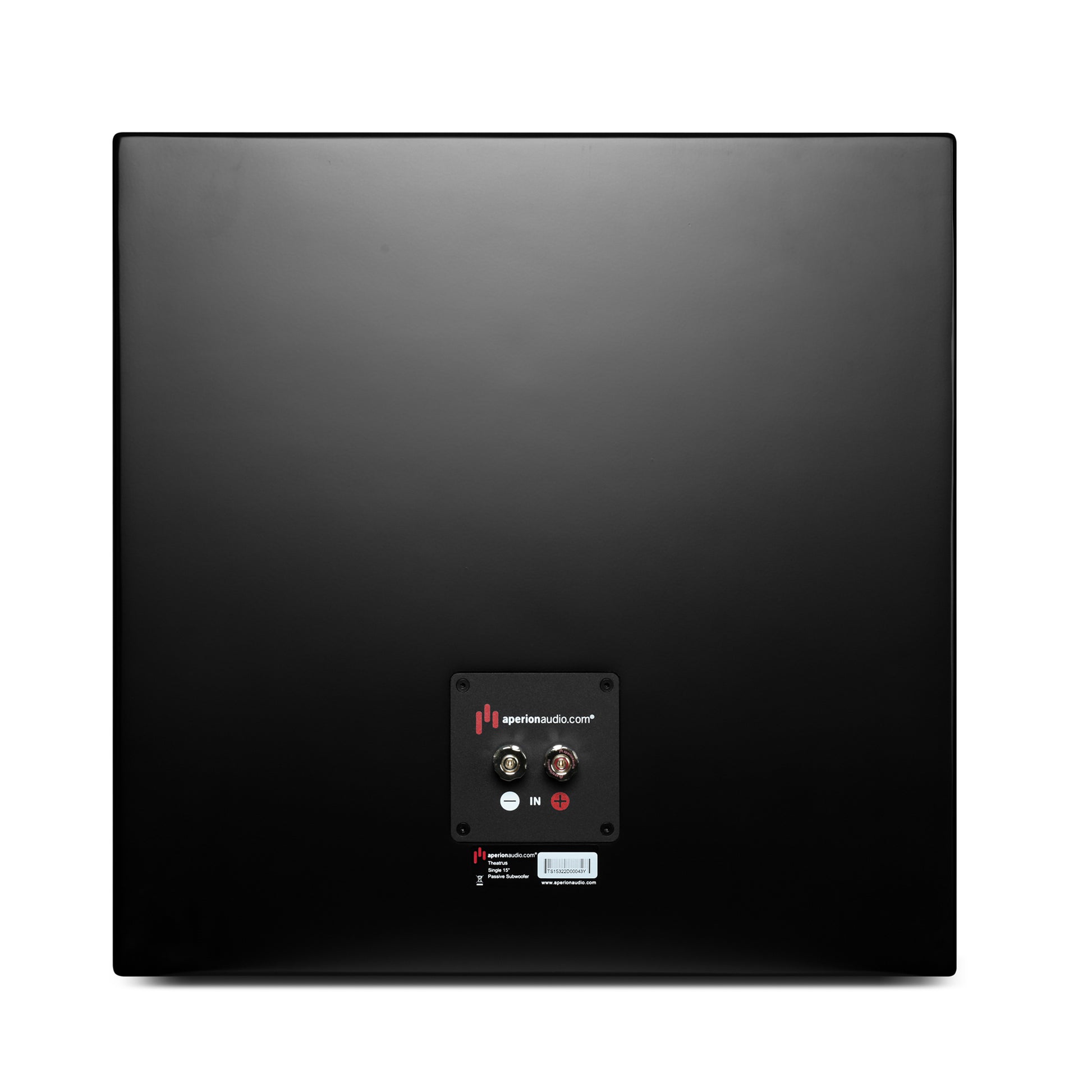 Aperion Audio TS15 Passive 15" Subwoofer Back View