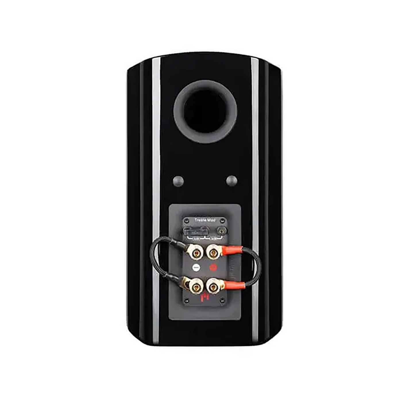 Aperion V5B Bookshelf Speaker Gloss Black Back Side