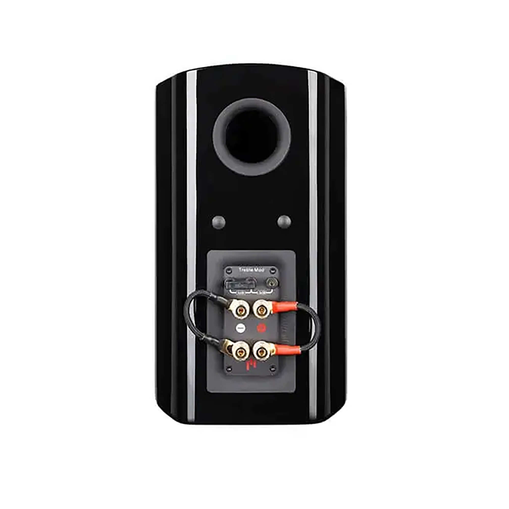 Aperion V5B Bookshelf Speaker Gloss Black Back Side