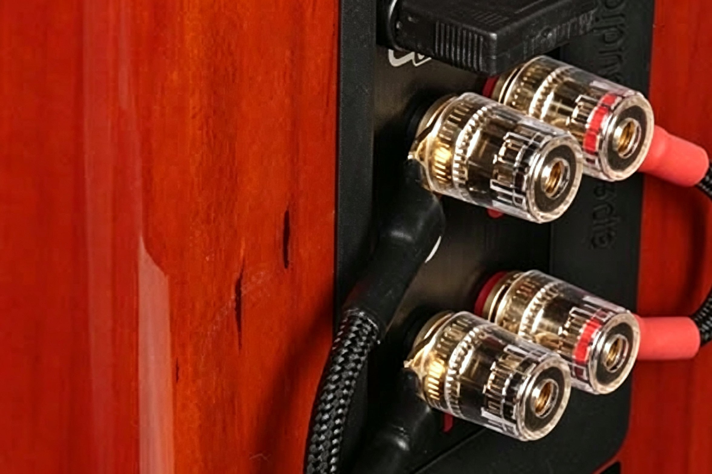 Verus Bookshelf Customizable Sound