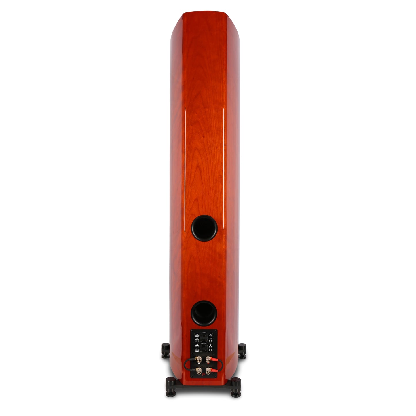 Aperion V8T Gloss Cherry Back Side