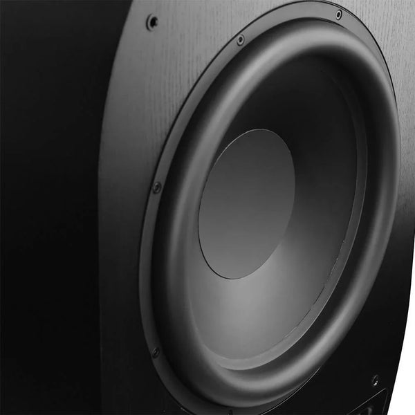 Daedalus DS15 &mdash; вуфер (крупно)