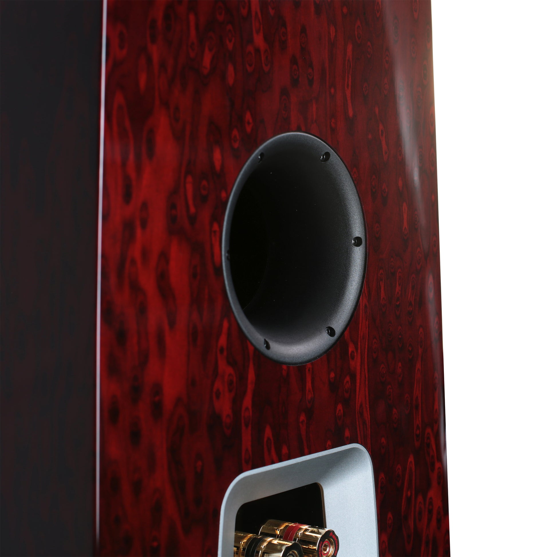 aperion-audio-grandis-gr6t-hifi-tower-speaker-rosewood-porttube