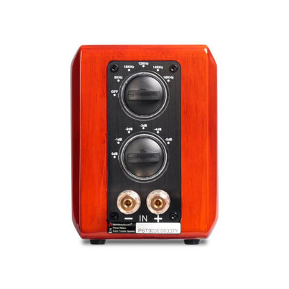 aperion-pst-planar-ribbon-super-tweeter-speaker-gloss-cherry-back-side