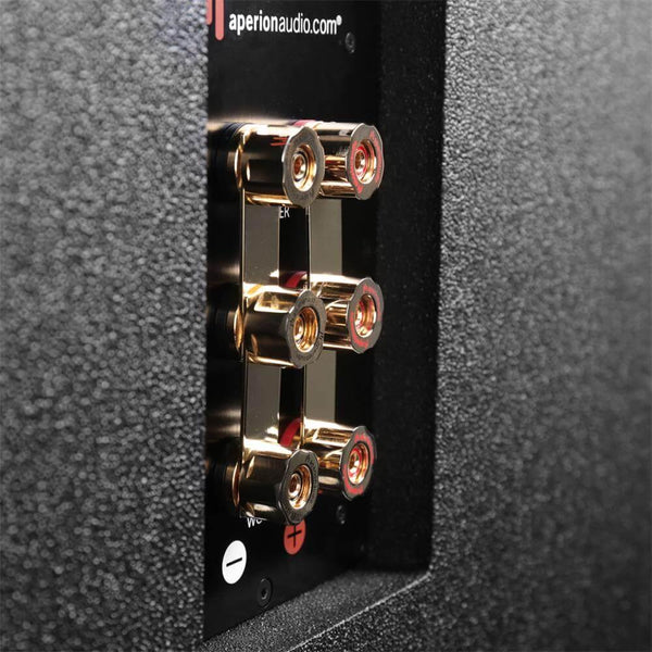 Theatrus T107 &mdash; binding posts