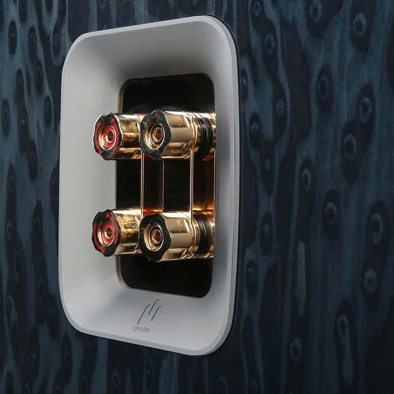 Aperion Grandis GR8 &mdash; позолоченные терминалы, крупный план