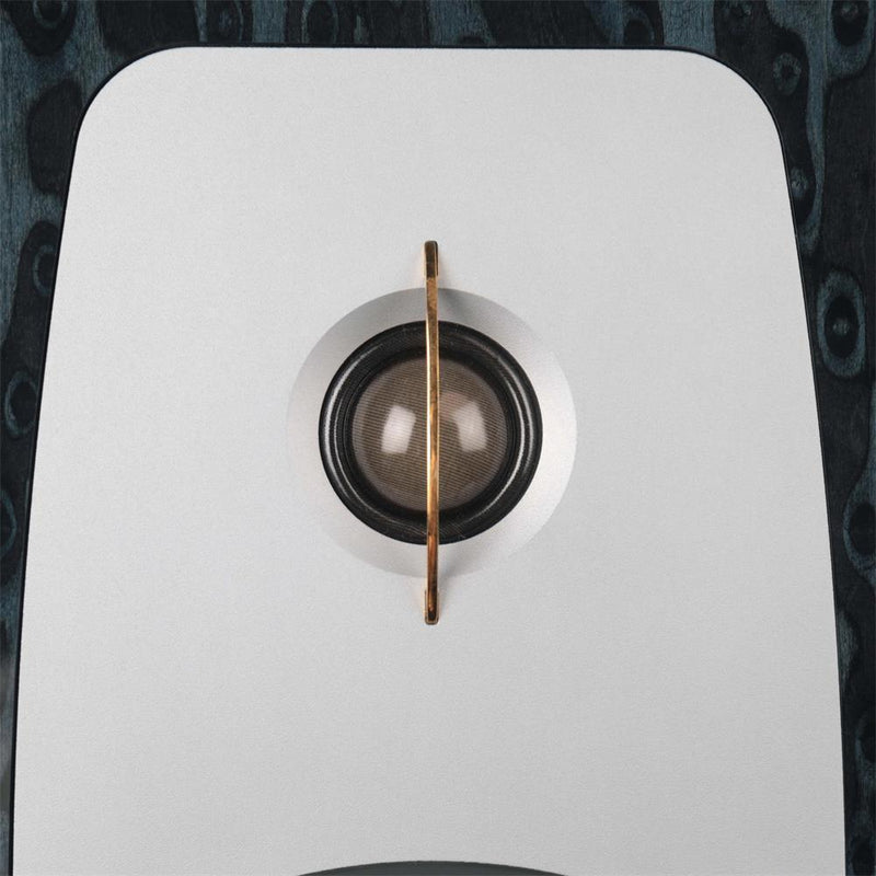 Aperion Grandis GR8 &mdash; твитер, крупный план