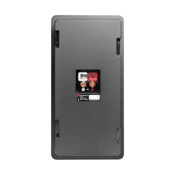 Theatrus T63W &mdash; задняя сторона (клеммы)