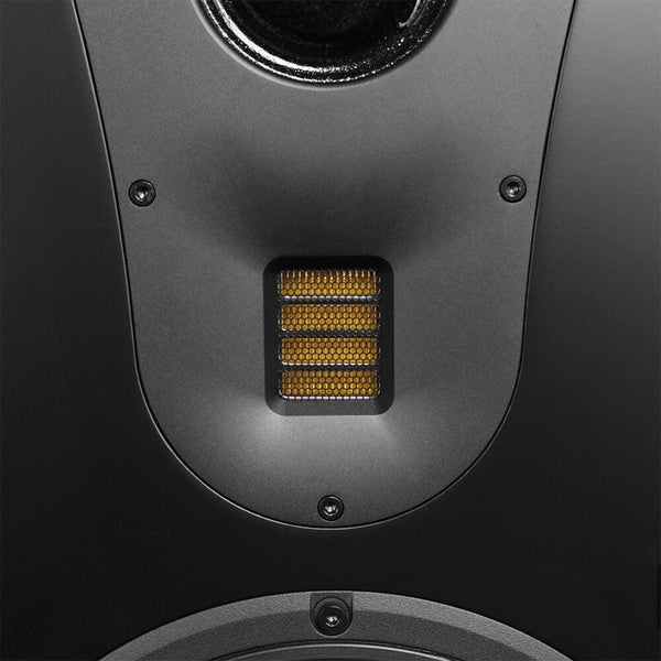 Theatrus T83S &mdash; AMT-твитер (крупно)