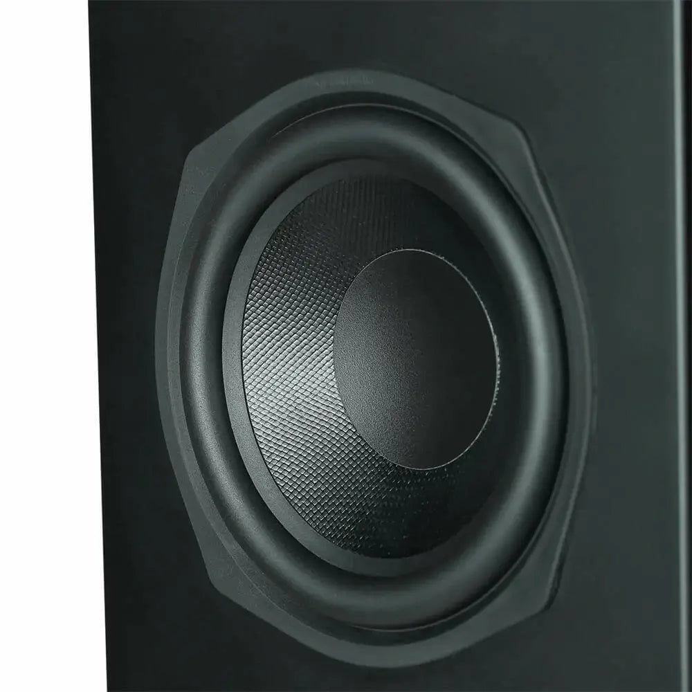Aperion-Novus-N5T-2Way-Dual-5.25