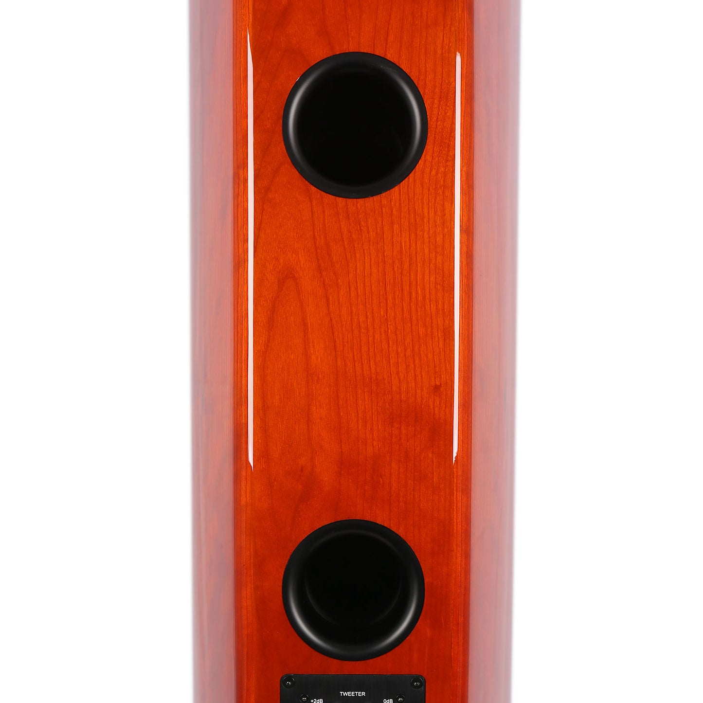 aperion-Verus-V8T-3Way-Dual-8"-Tower-Floorstanding-Speaker-GlossCherry-Dual-Rear-Port-aperionaudio